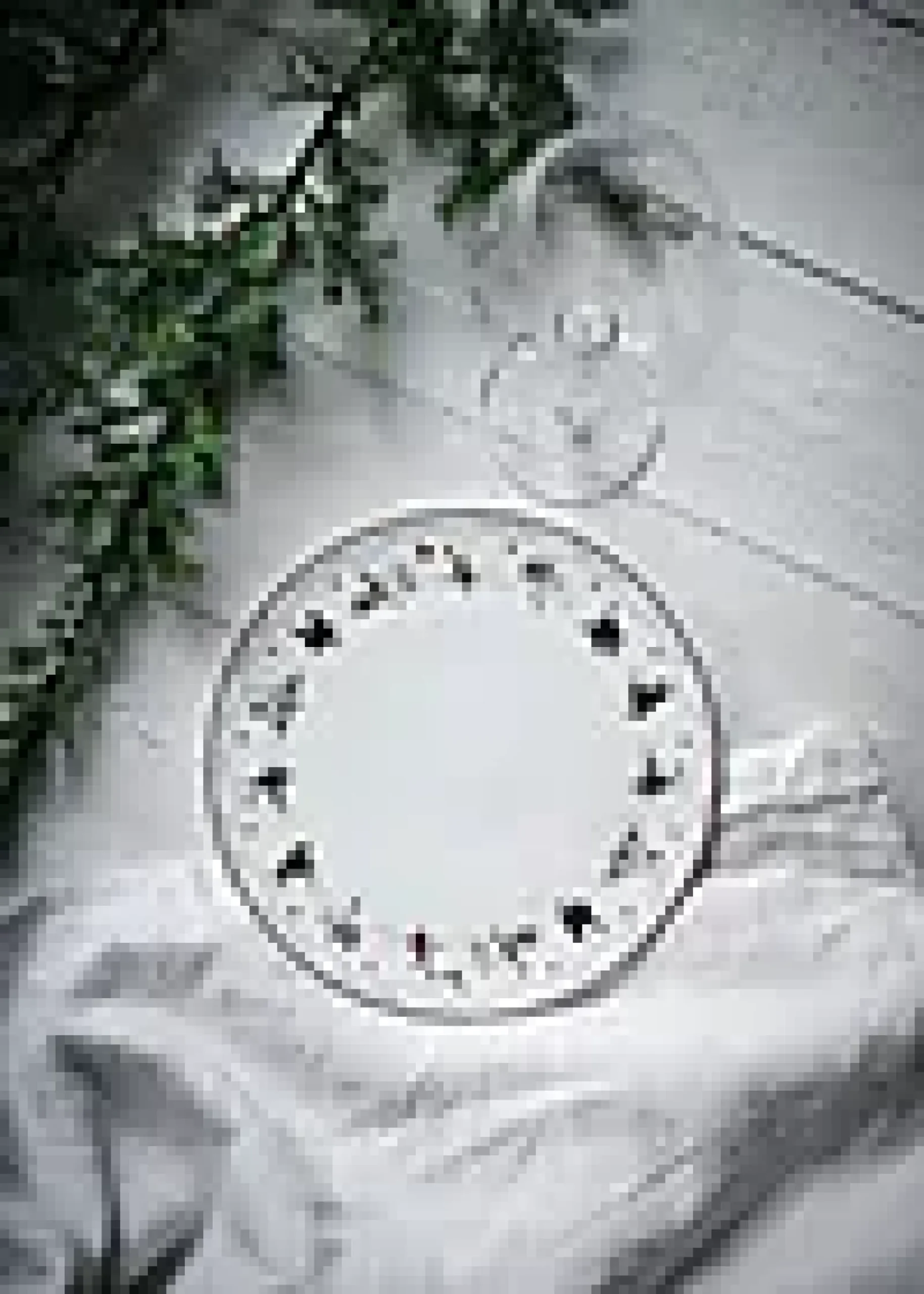Asjett 20cm Julemorgen Story