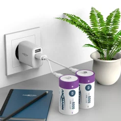 Batteri Dx2 oppladbart USB-C med ladekabel