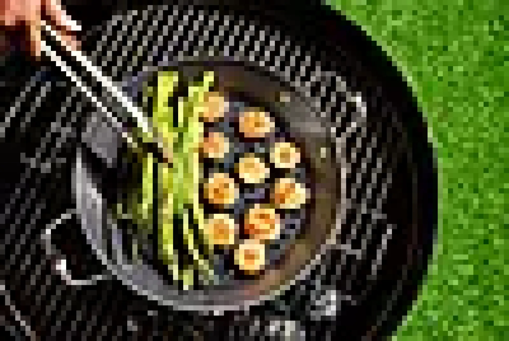 BBQ-panne til grill 30cm hybrid