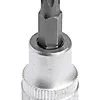 Bitspipe 3/8" torx T30 tamper