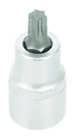 Bitspipe 1/2" TX45
