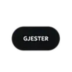 Dørskilt GJESTER sort oval