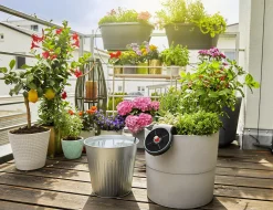 Ferie og balkongvanningssett Aquabloom