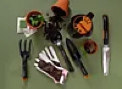 FRØ OG PLANTESKJE SOLID