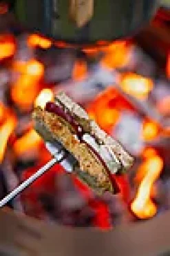 Grillspyd teleskop