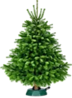 Juletrefot med pedal Hamburg Aqua 34cm