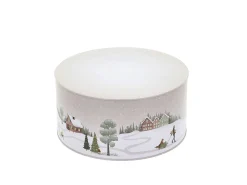 Kakebokssett Vinter Arctic Ice/Woodrose Metal 22x12/20x10cm