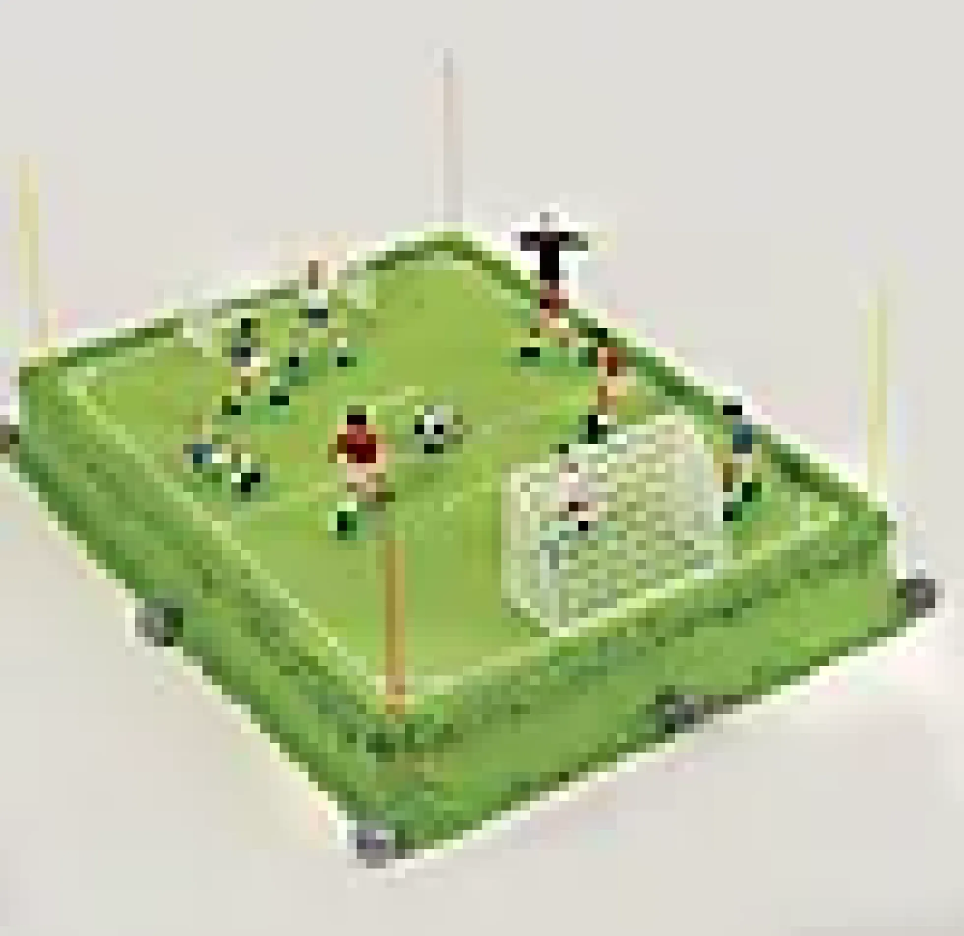 Kakedekor fotballsett 7 spillere 2 mål
