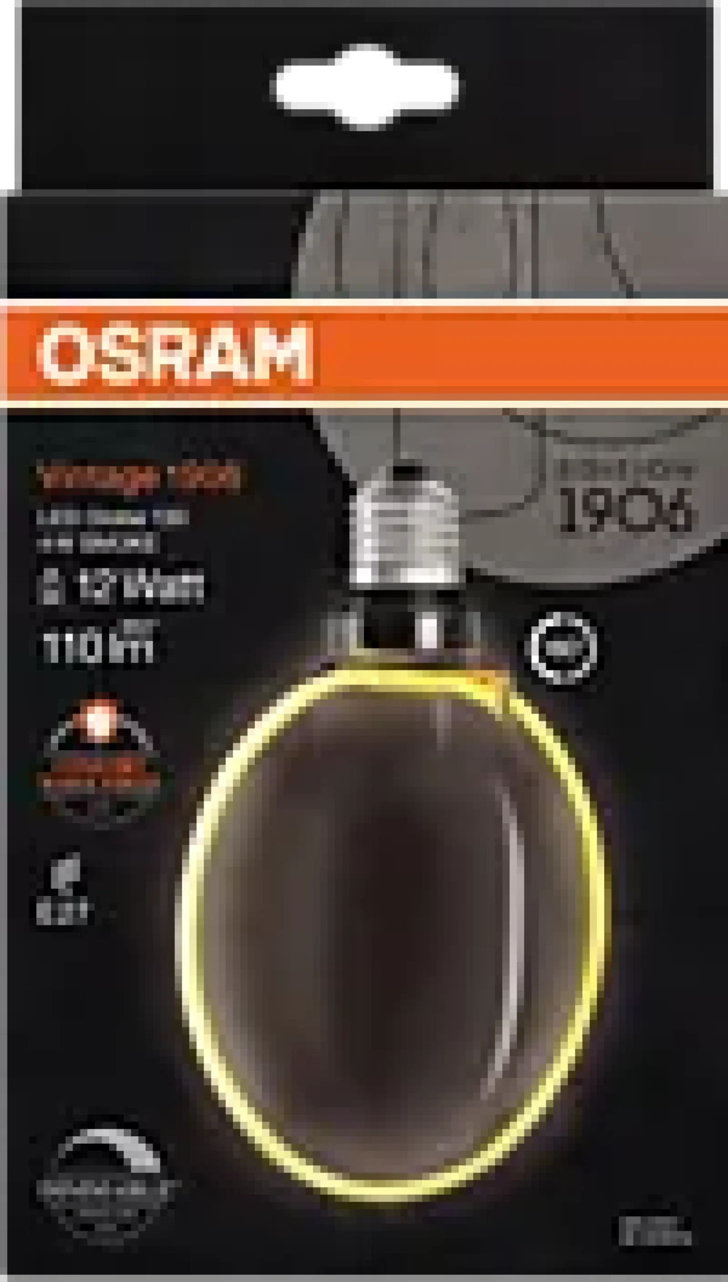 Led Dekorasjonspære E27 Ø130 12 110lm Smoke Dim Ekstra Varm