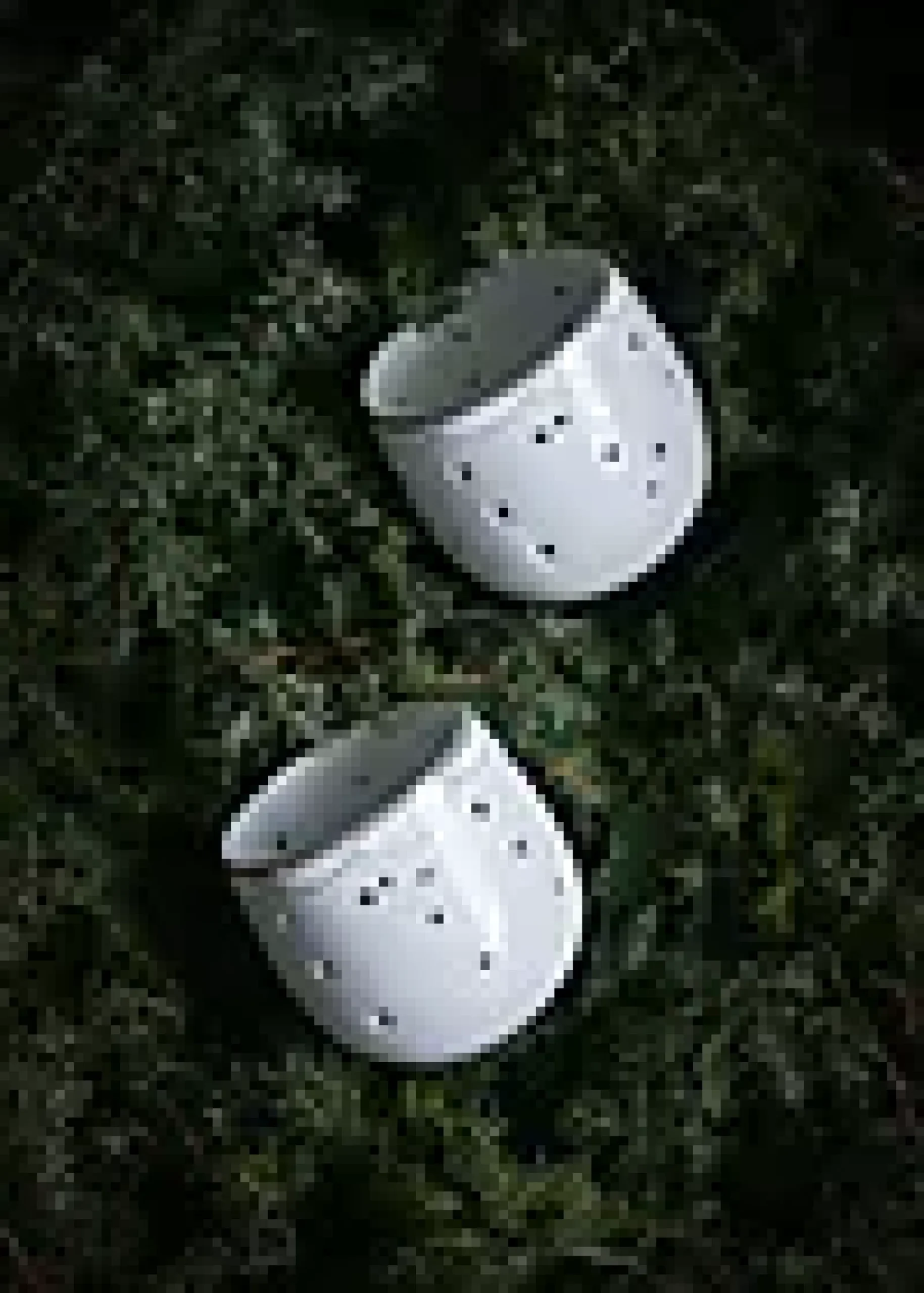 Lyslykt 8cm Julemorgen Girlander 2stk