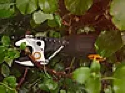 Multikutter Epruner M