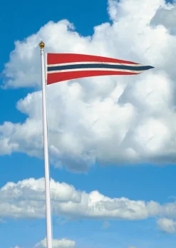 Norsk vimpel 225cm