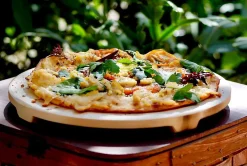 Pizzastein premier Grill