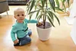 Plantebeskytter Noah 2stk