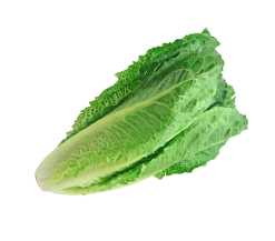 Romanosalat