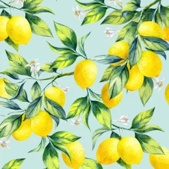 Servietter 33x33cm Citrus Branches
