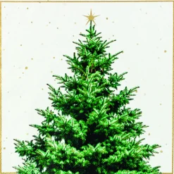 Servietter 33x33cm Fir Tree