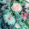 Servietter 33x33cm Winter Bouquet