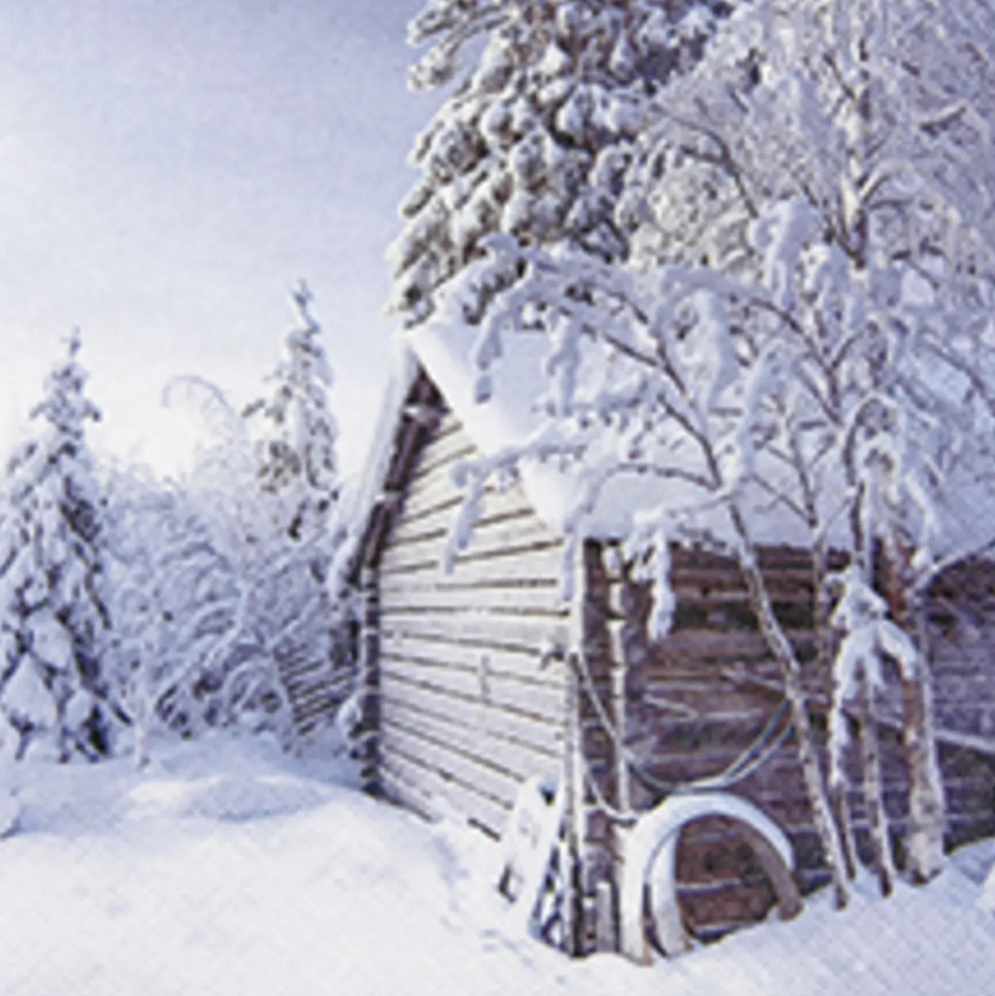 Servietter 33x33cm Winter Cabin