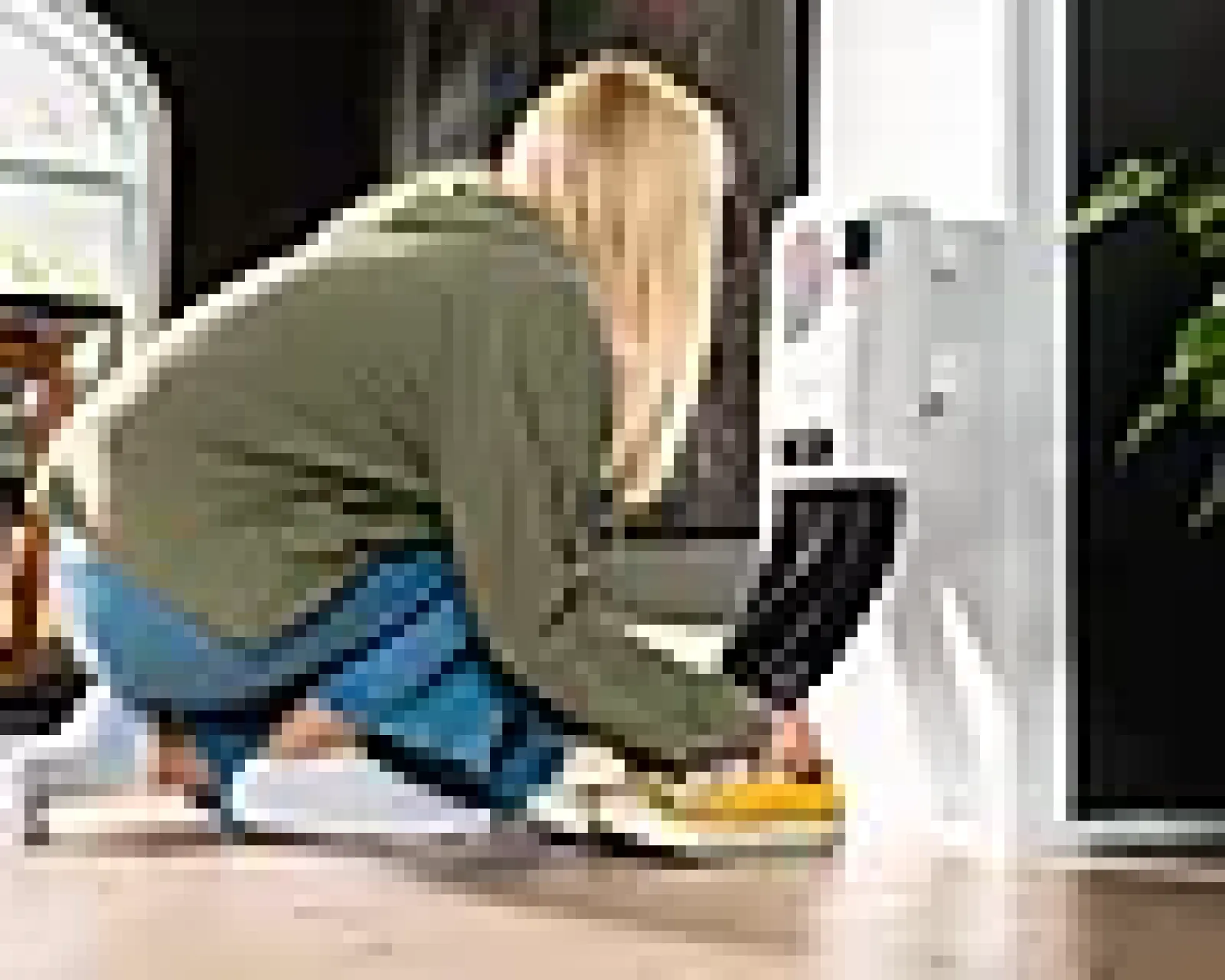 Skotørker LBH-07 350W, 4 slanger, 120 minutters tidsur