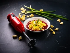 STAVMIKSER CORDLESS PLUS 10,8V RØD