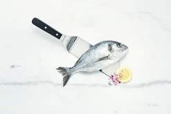 Stekespade Budalen 16cm
