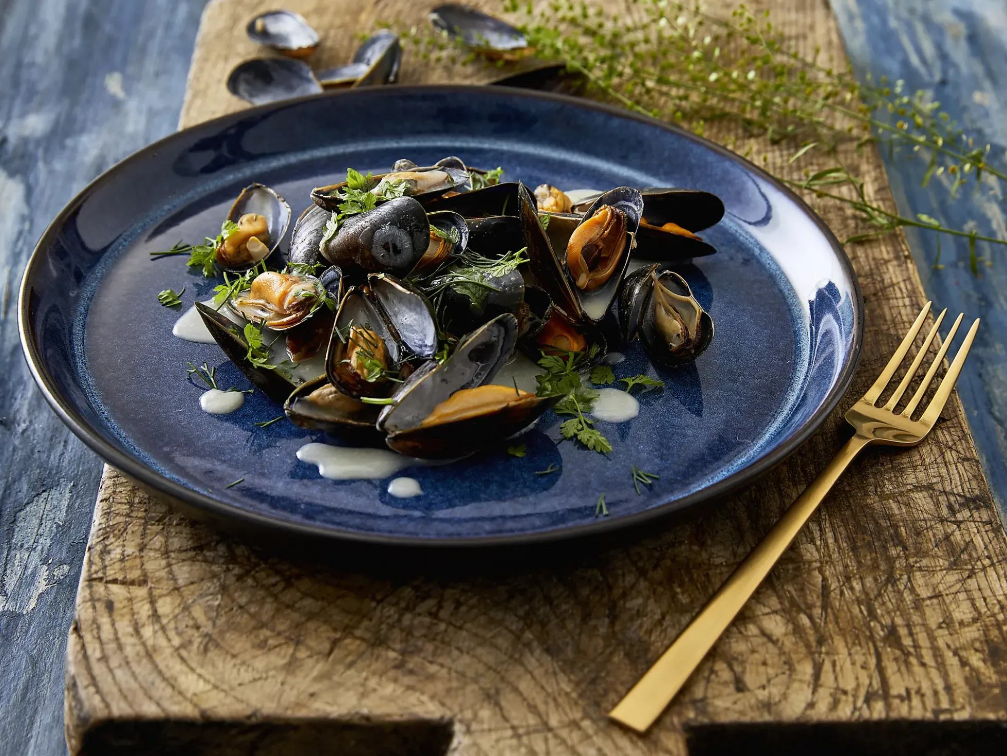 Tallerken Gastro mørkblå/sort ø27cm