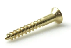 Treskrue linsehode 3,0x16mm DIN7995 MS 20stk