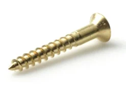 Treskrue linsehode 3,5X20mm DIN7995 MS 20stk