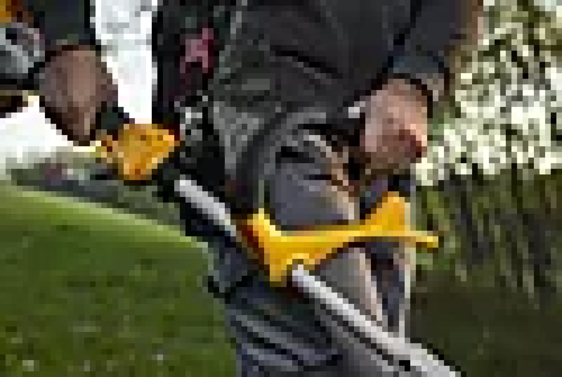 Trimmer / Ryddesag Bc 330 A 2-taktsmotor Skjærebredde 43Cm