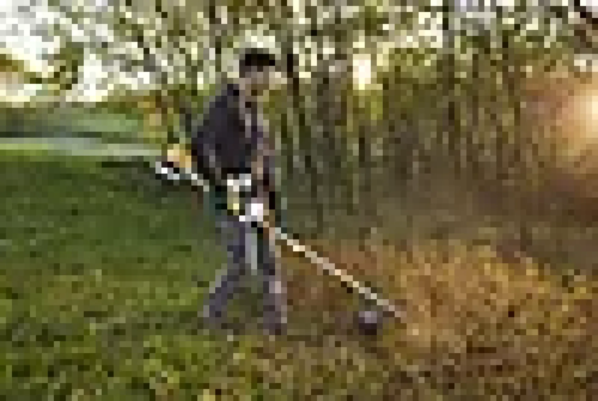 Trimmer / Ryddesag Bc 330 A 2-taktsmotor Skjærebredde 43Cm
