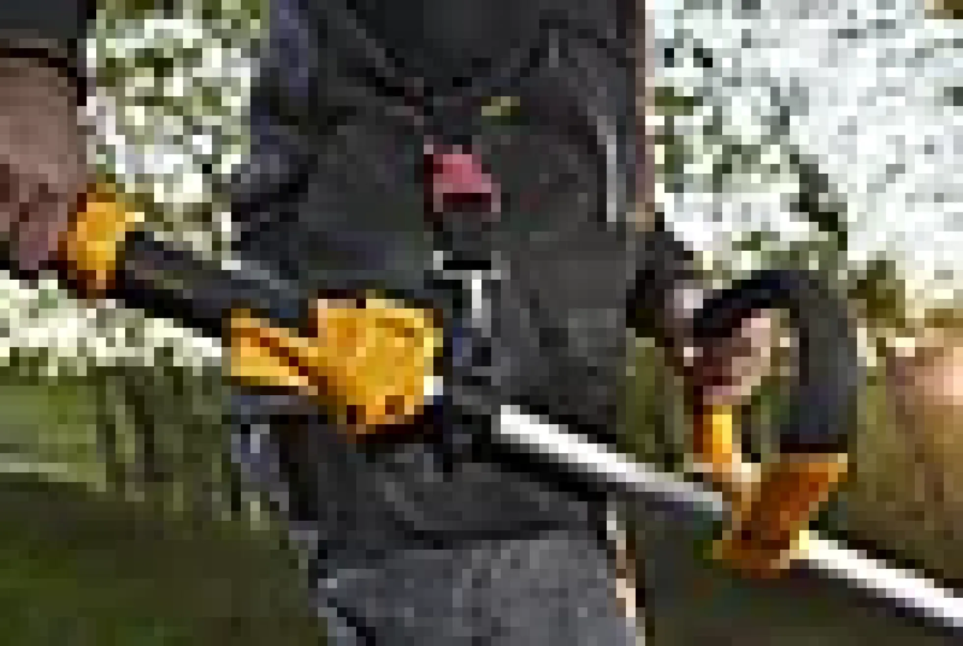 Trimmer / Ryddesag Bc 330 A 2-taktsmotor Skjærebredde 43Cm