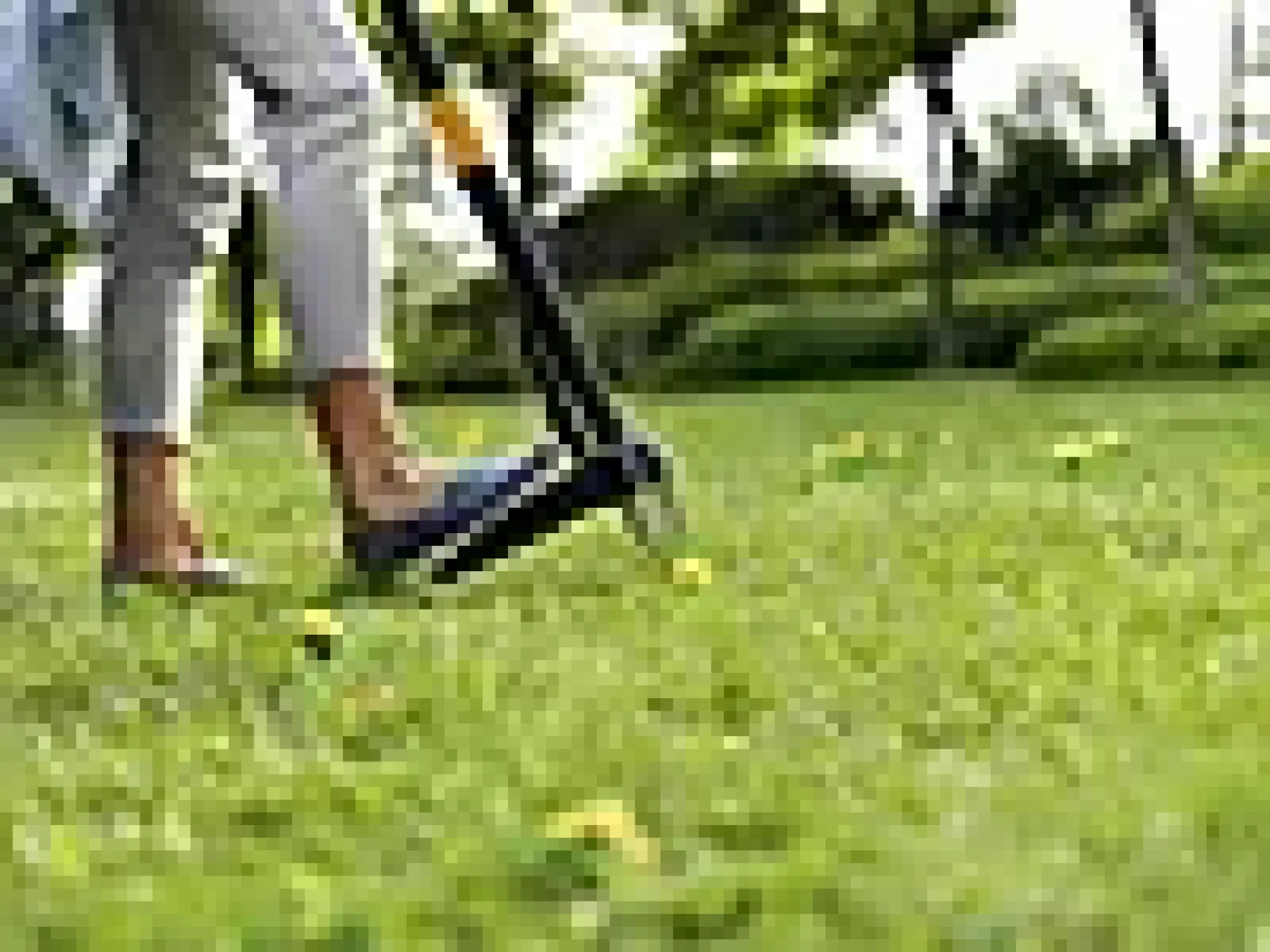 Ugressfjerner Xact Weeder