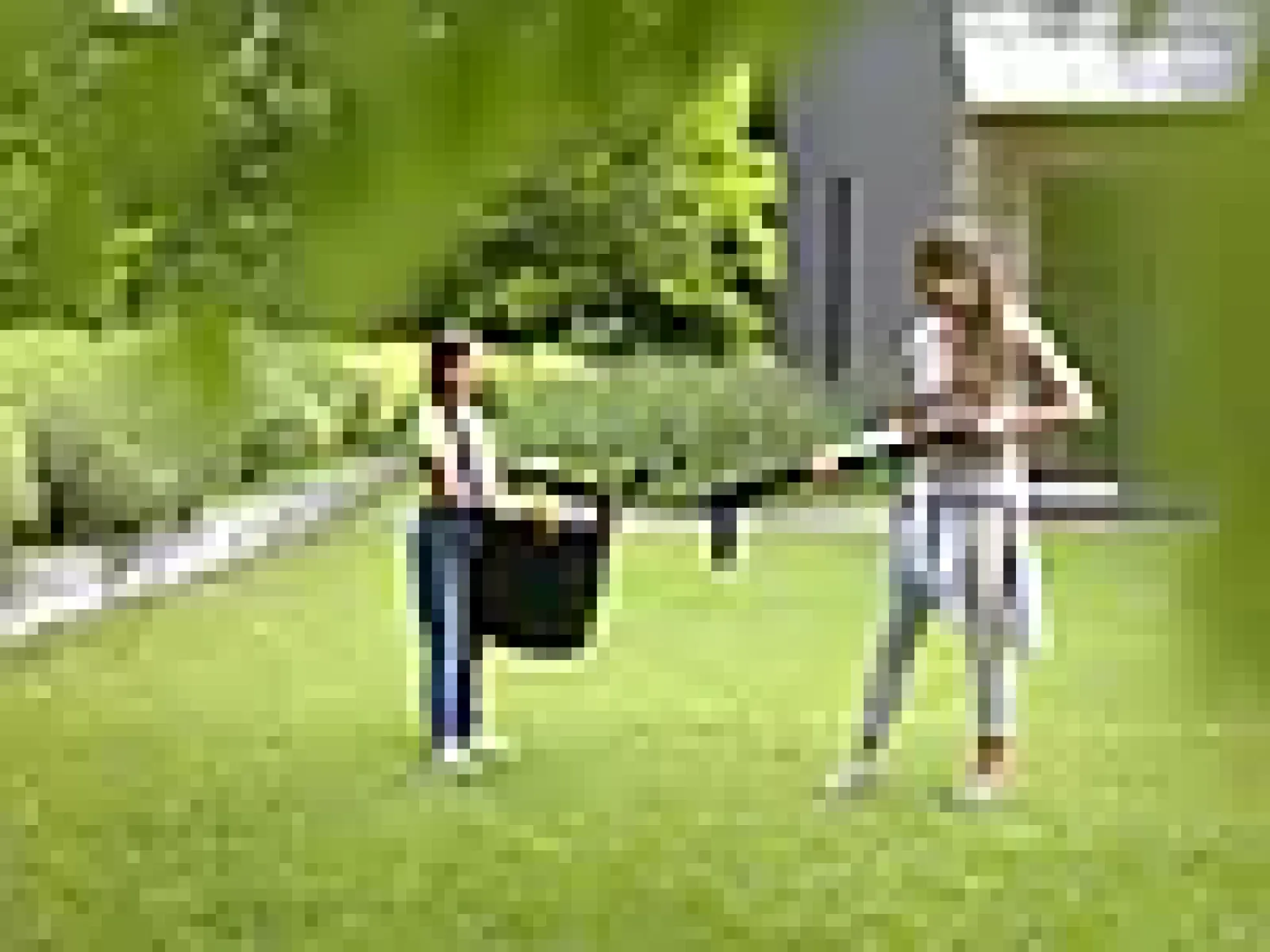 Ugressfjerner Xact Weeder