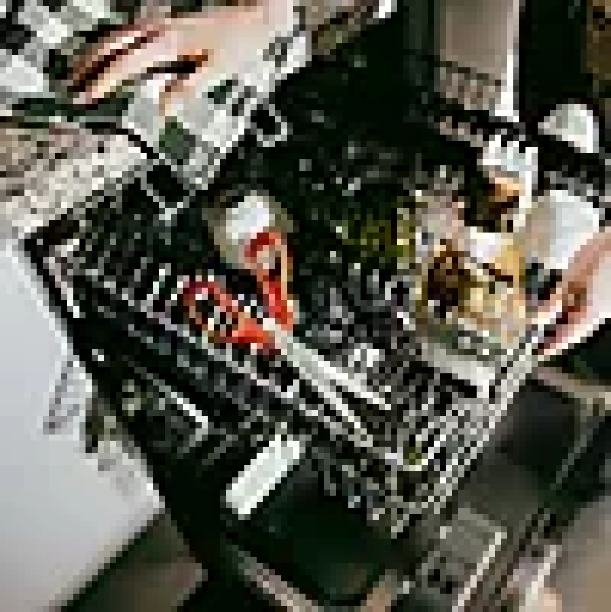 Universalsaks classic venstre 21cm