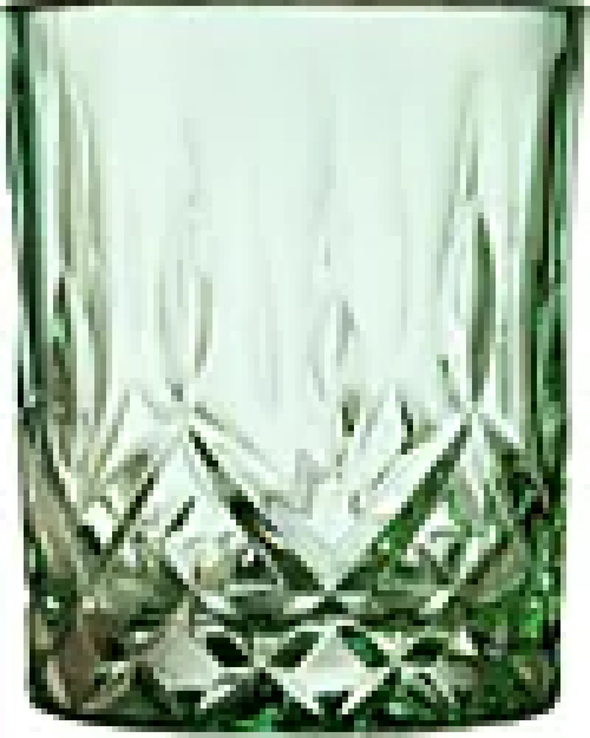 Whiskyglass Sorrento Grønn 32cl 4stk